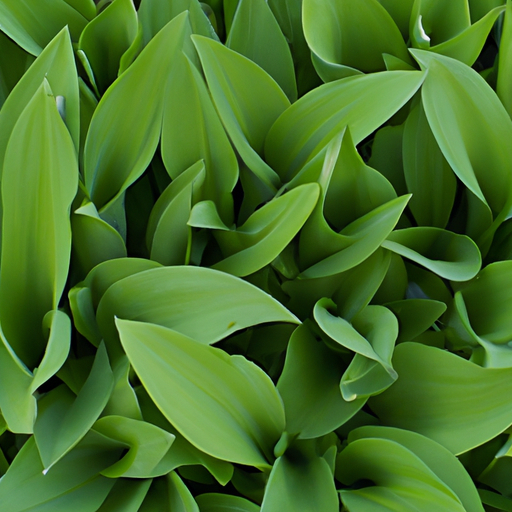 heets green